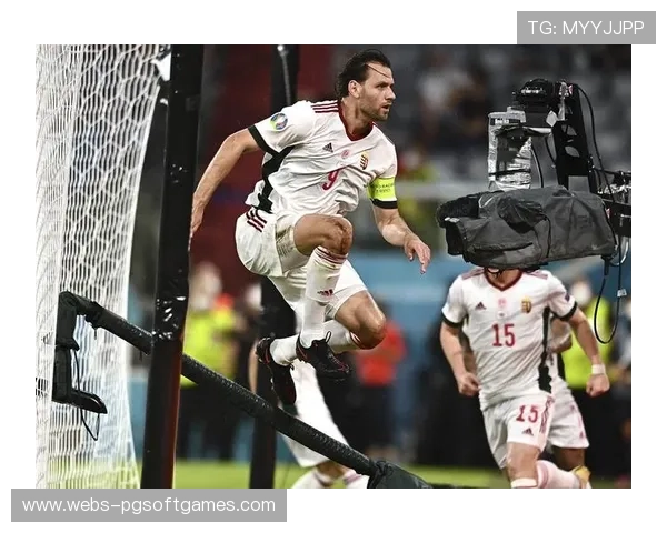 赫梅茨伯格逆袭战中两度击倒本坦成功逆转局势力压对手夺冠